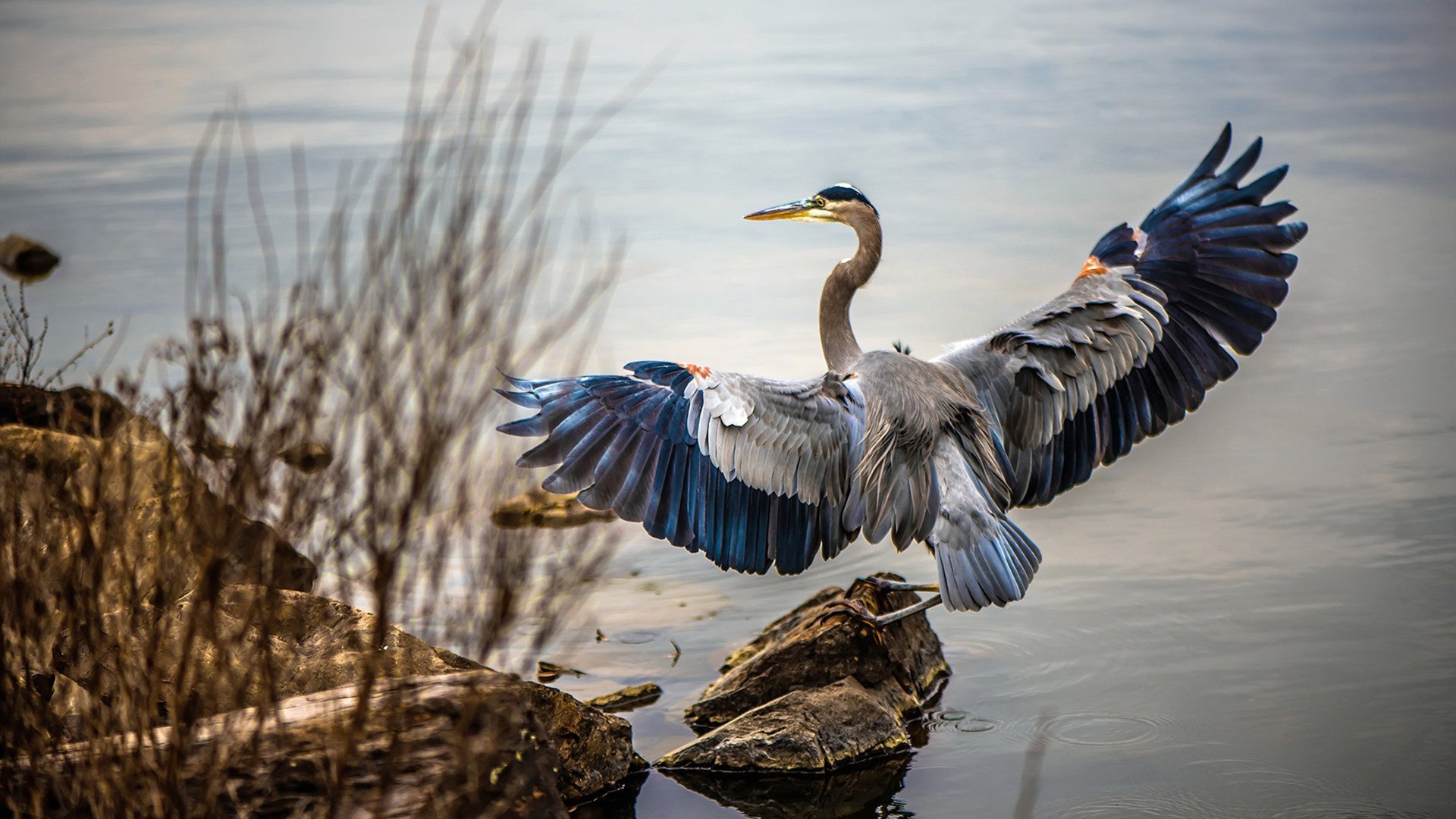 摩洛哥6-0大胜埃及,首次夺得奥运足球铜牌,摩洛哥 奥运