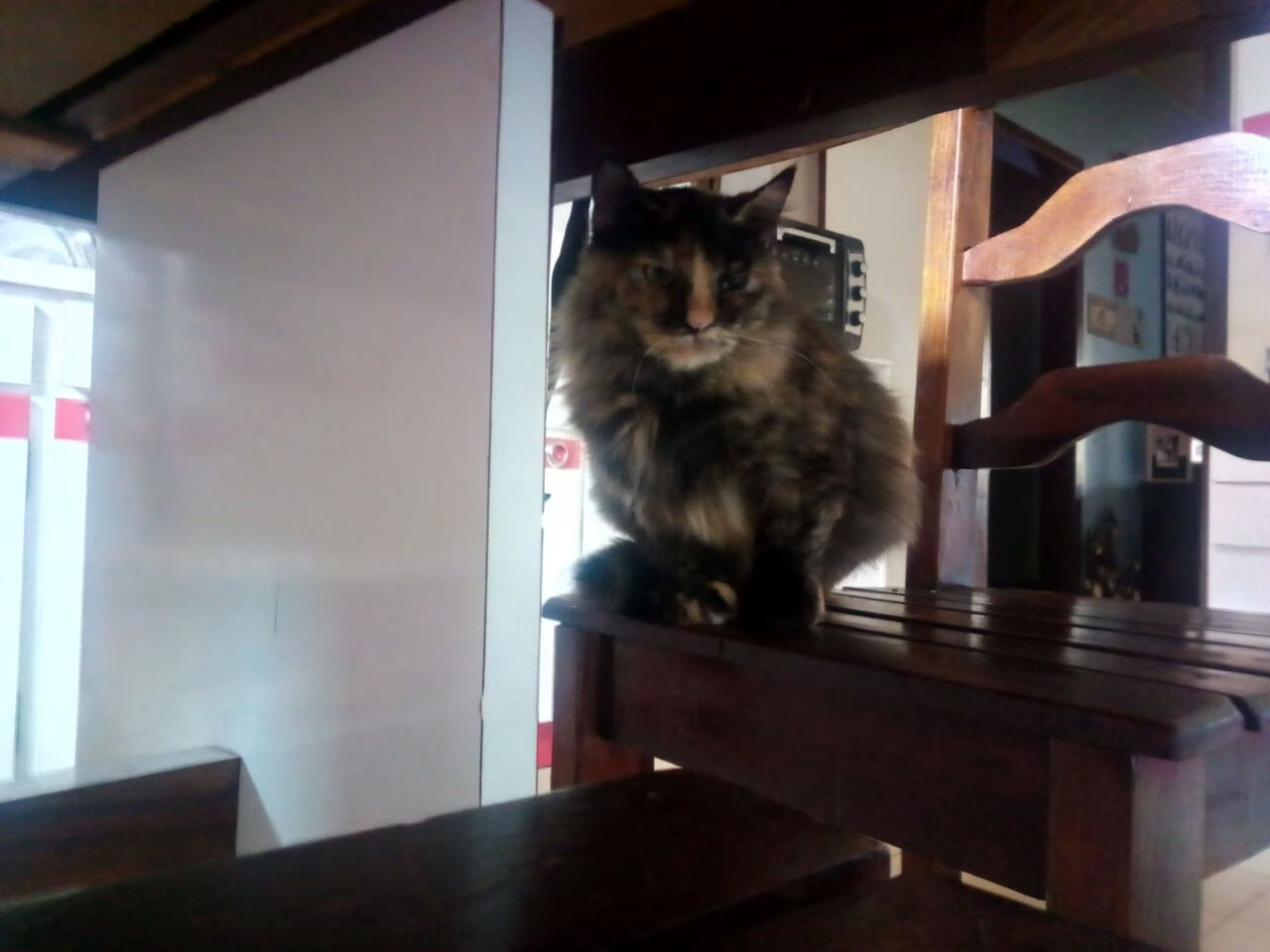 爱爱游戏-CS2 战队调整阵容追求突破，cs2游戏